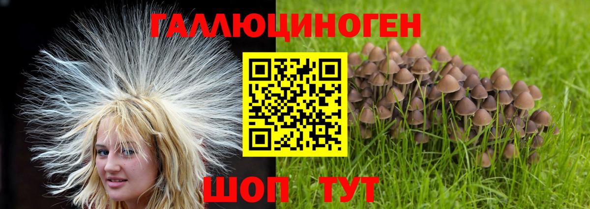 Протвино  Псилоцибиновые грибы мухоморы  Вход с VPN 