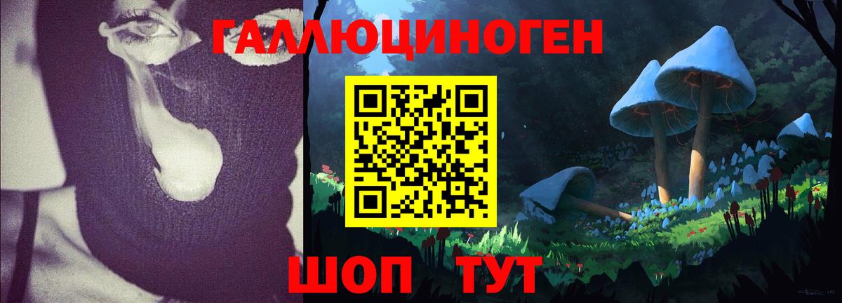Галлюциногенные грибы Cubensis Протвино